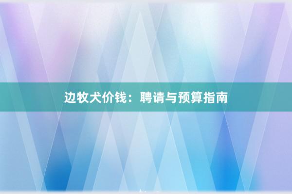 边牧犬价钱:聘请与预算指南
